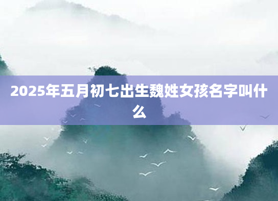 2025年五月初七出生魏姓女孩名字叫什么