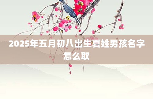 2025年五月初八出生夏姓男孩名字怎么取