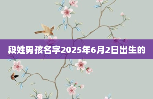 段姓男孩名字2025年6月2日出生的