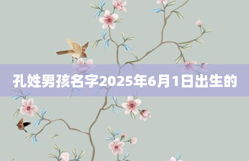 孔姓男孩名字2025年6月1日出生的