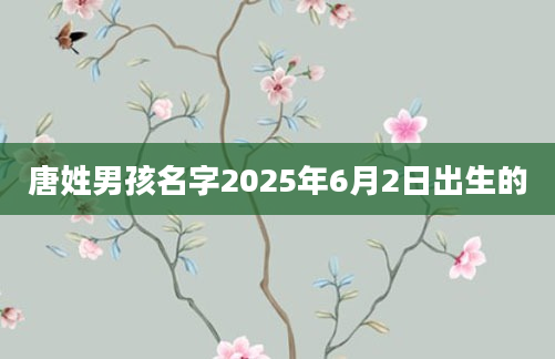 唐姓男孩名字2025年6月2日出生的