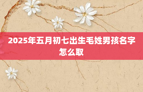 2025年五月初七出生毛姓男孩名字怎么取