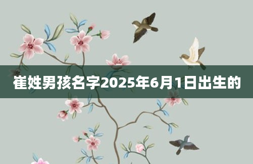 崔姓男孩名字2025年6月1日出生的