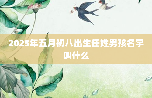 2025年五月初八出生任姓男孩名字叫什么