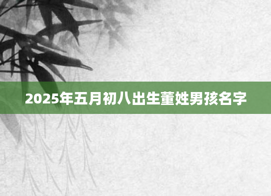 2025年五月初八出生董姓男孩名字
