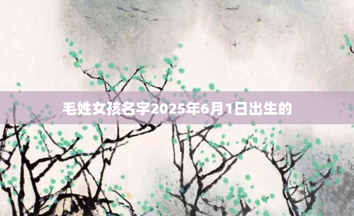 毛姓女孩名字2025年6月1日出生的