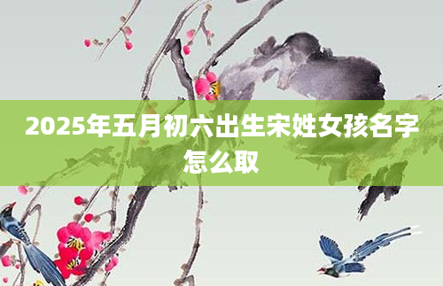2025年五月初六出生宋姓女孩名字怎么取