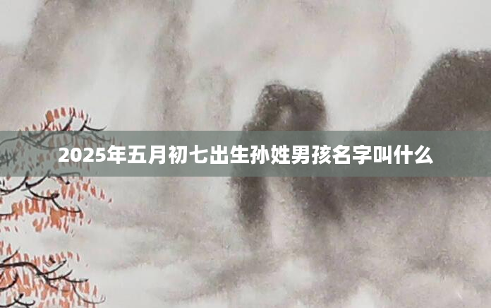 2025年五月初七出生孙姓男孩名字叫什么