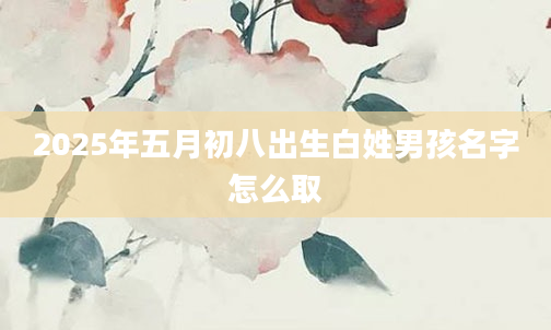2025年五月初八出生白姓男孩名字怎么取