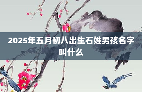 2025年五月初八出生石姓男孩名字叫什么