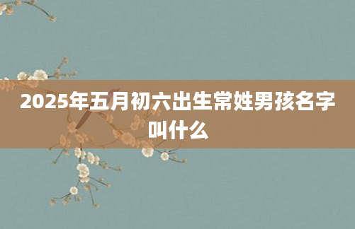 2025年五月初六出生常姓男孩名字叫什么