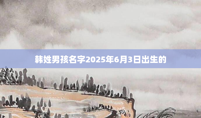 韩姓男孩名字2025年6月3日出生的