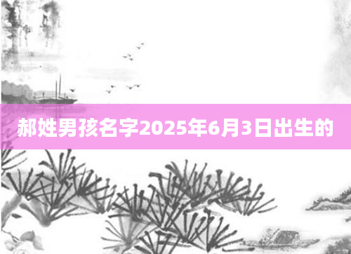 郝姓男孩名字2025年6月3日出生的