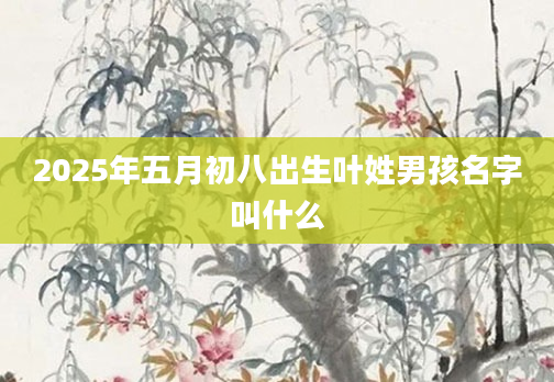 2025年五月初八出生叶姓男孩名字叫什么