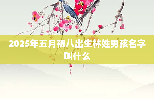 2025年五月初八出生林姓男孩名字叫什么