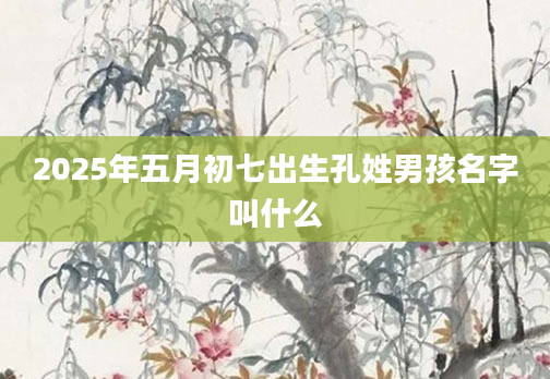 2025年五月初七出生孔姓男孩名字叫什么