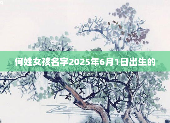 何姓女孩名字2025年6月1日出生的