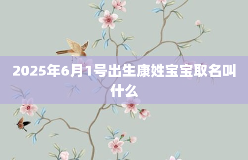 2025年6月1号出生康姓宝宝取名叫什么