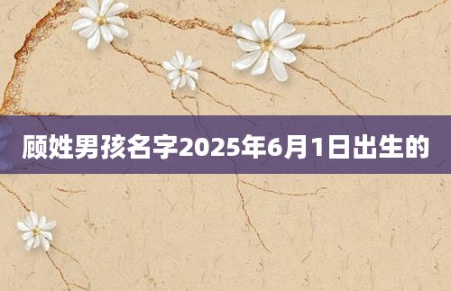 顾姓男孩名字2025年6月1日出生的