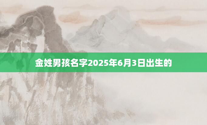金姓男孩名字2025年6月3日出生的
