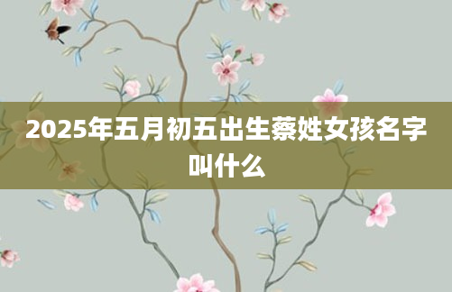 2025年五月初五出生蔡姓女孩名字叫什么