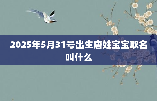 2025年5月31号出生唐姓宝宝取名叫什么