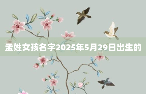 孟姓女孩名字2025年5月29日出生的