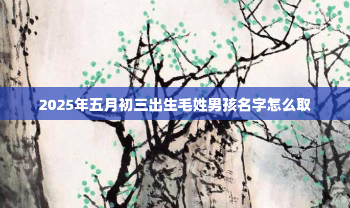 2025年五月初三出生毛姓男孩名字怎么取