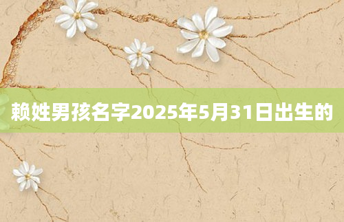 赖姓男孩名字2025年5月31日出生的