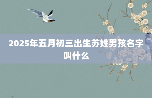 2025年五月初三出生苏姓男孩名字叫什么