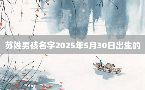 苏姓男孩名字2025年5月30日出生的