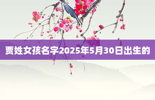 贾姓女孩名字2025年5月30日出生的