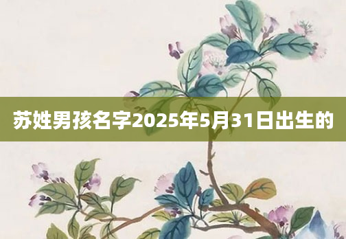 苏姓男孩名字2025年5月31日出生的