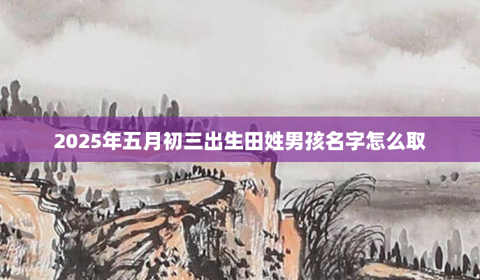 2025年五月初三出生田姓男孩名字怎么取