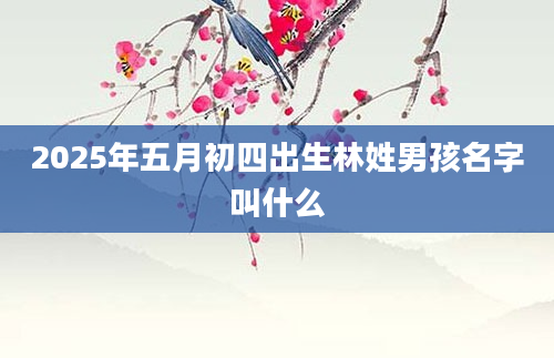 2025年五月初四出生林姓男孩名字叫什么