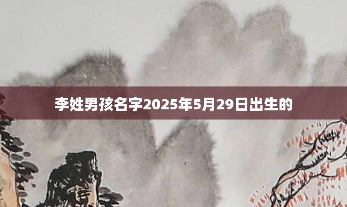 李姓男孩名字2025年5月29日出生的