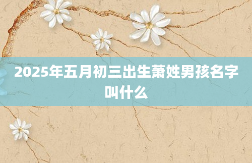 2025年五月初三出生萧姓男孩名字叫什么