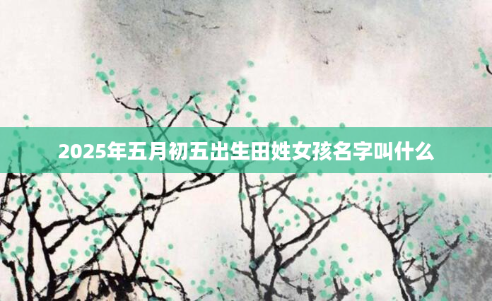 2025年五月初五出生田姓女孩名字叫什么