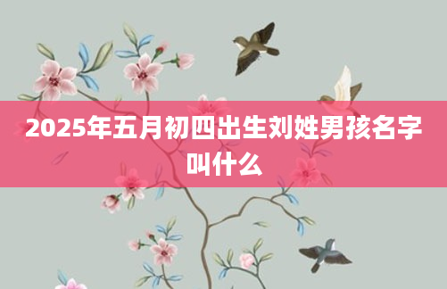 2025年五月初四出生刘姓男孩名字叫什么