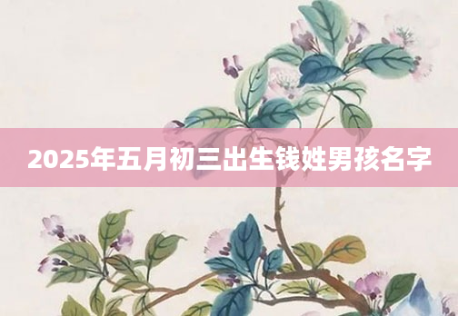 2025年五月初三出生钱姓男孩名字