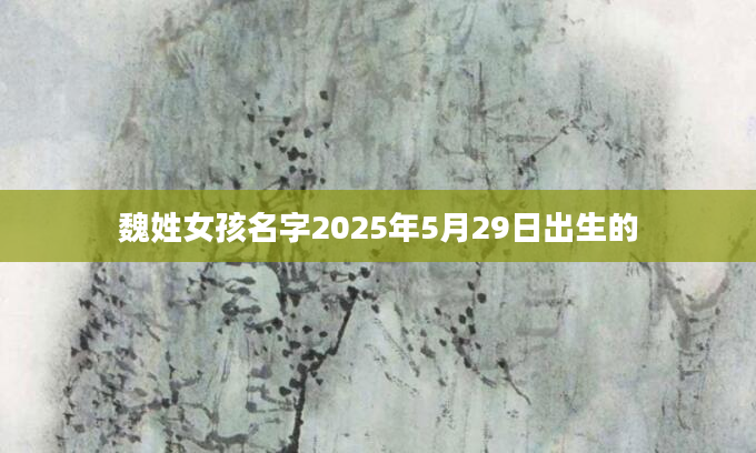 魏姓女孩名字2025年5月29日出生的