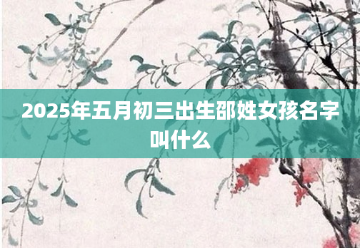 2025年五月初三出生邵姓女孩名字叫什么