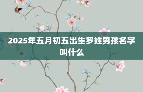 2025年五月初五出生罗姓男孩名字叫什么