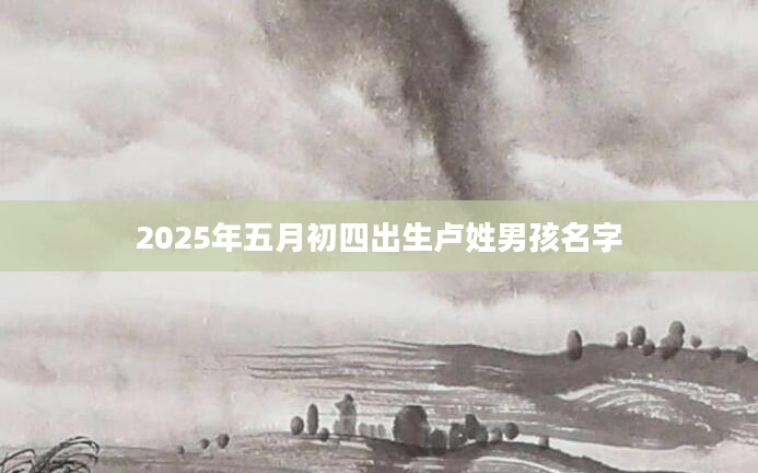 2025年五月初四出生卢姓男孩名字