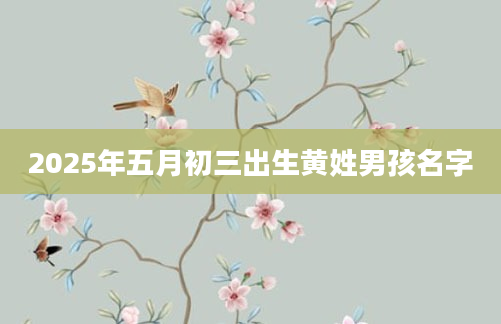 2025年五月初三出生黄姓男孩名字