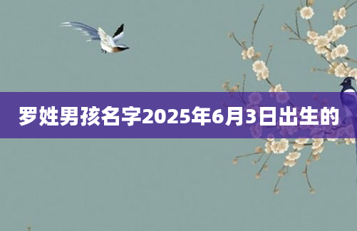 罗姓男孩名字2025年6月3日出生的