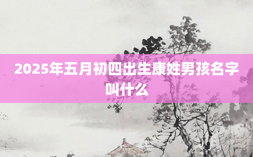 2025年五月初四出生康姓男孩名字叫什么