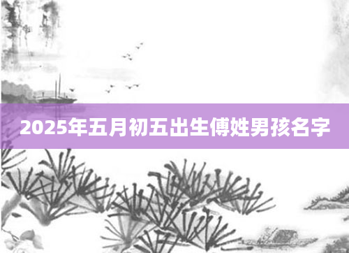 2025年五月初五出生傅姓男孩名字