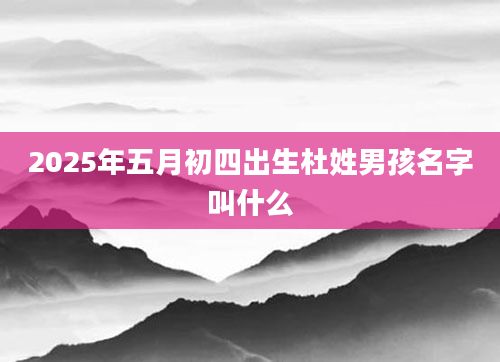 2025年五月初四出生杜姓男孩名字叫什么