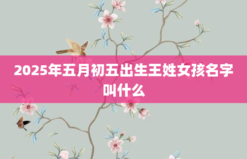 2025年五月初五出生王姓女孩名字叫什么